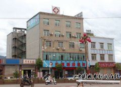 百工圣作 惟医有传：访盐源瑞康医院院长丁银海