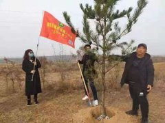 邯郸市肢残人协会与协办单位举办爱心植树造林活动